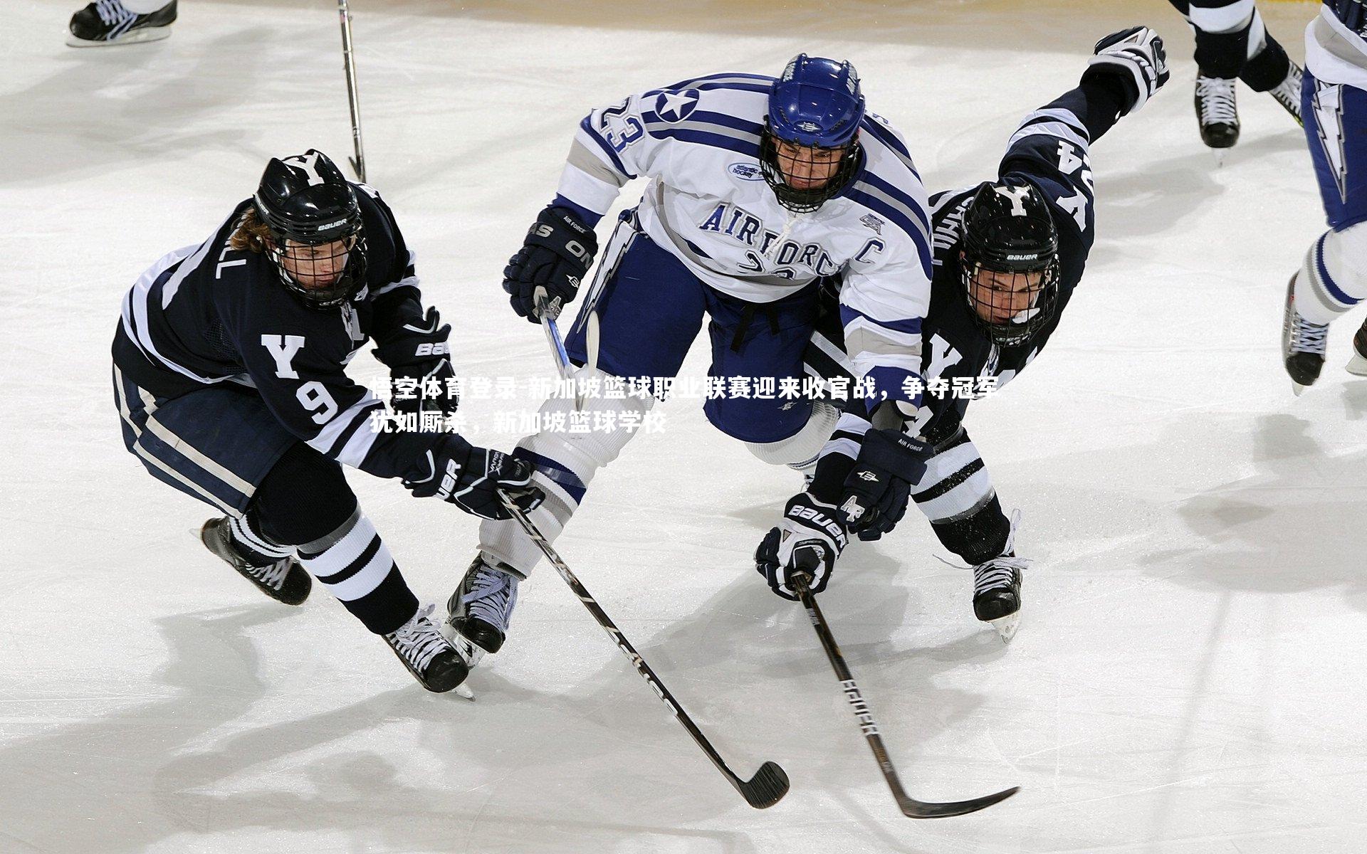 新加坡篮球职业联赛迎来收官战，争夺冠军犹如厮杀，新加坡篮球学校
