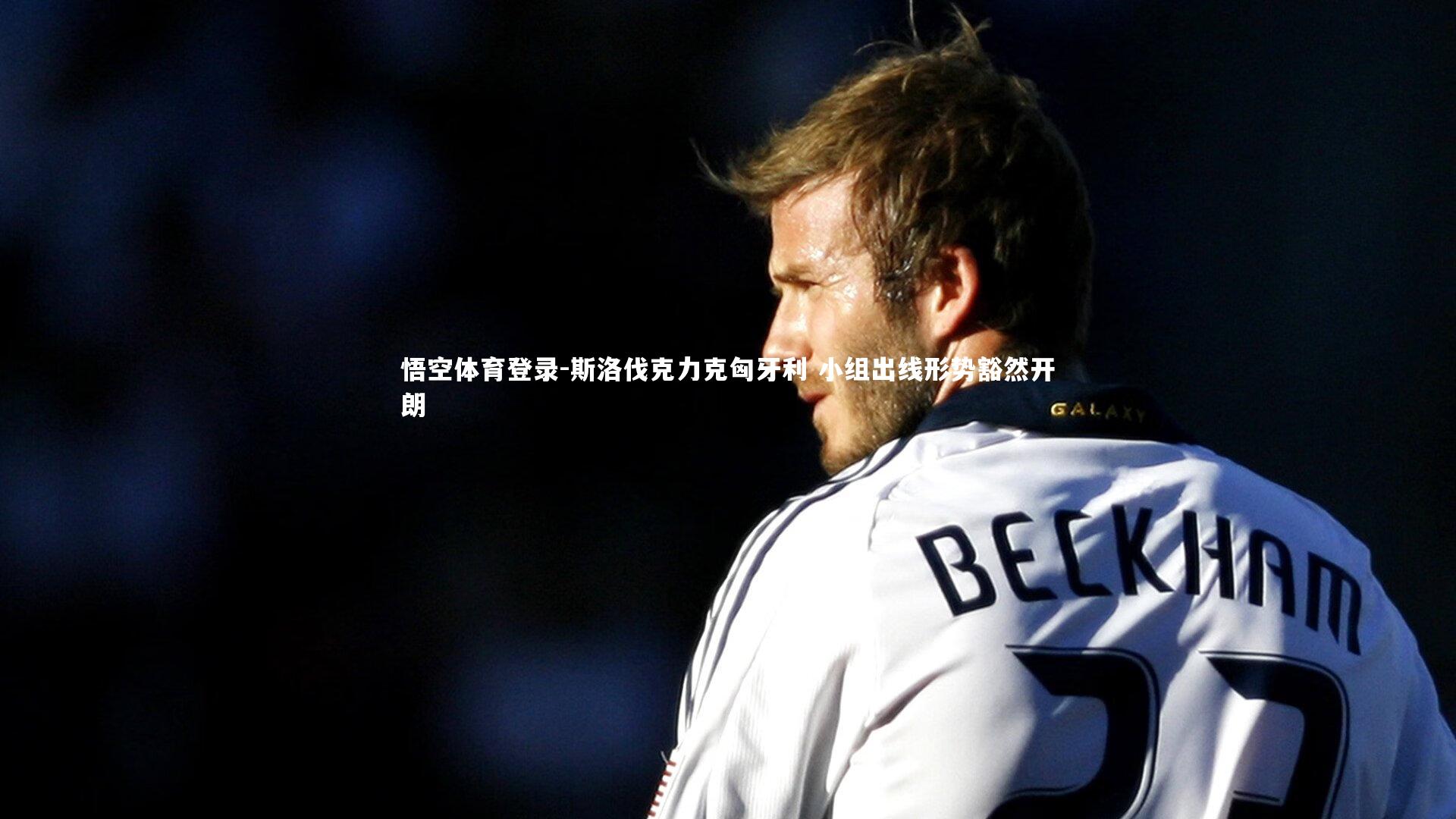 斯洛伐克力克匈牙利 小组出线形势豁然开朗